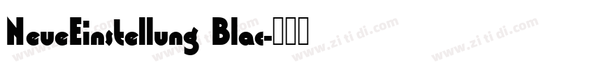 NeueEinstellung Blac字体转换